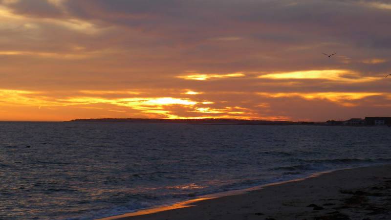 USA_2011-11-28 16-06-19